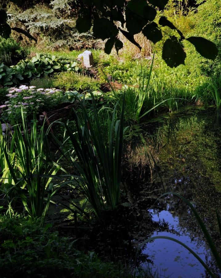 Фермерские дома Markowe Siedlisko Венгожево-13