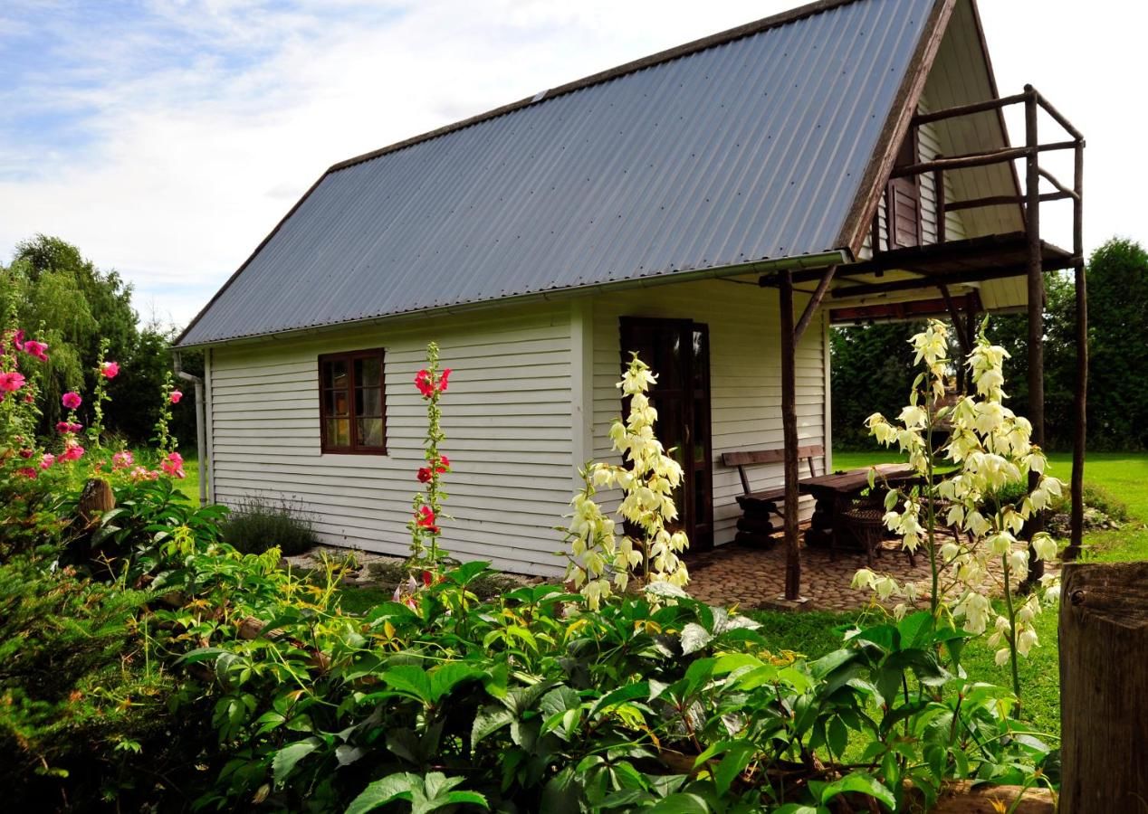 Фермерские дома Markowe Siedlisko Венгожево-20