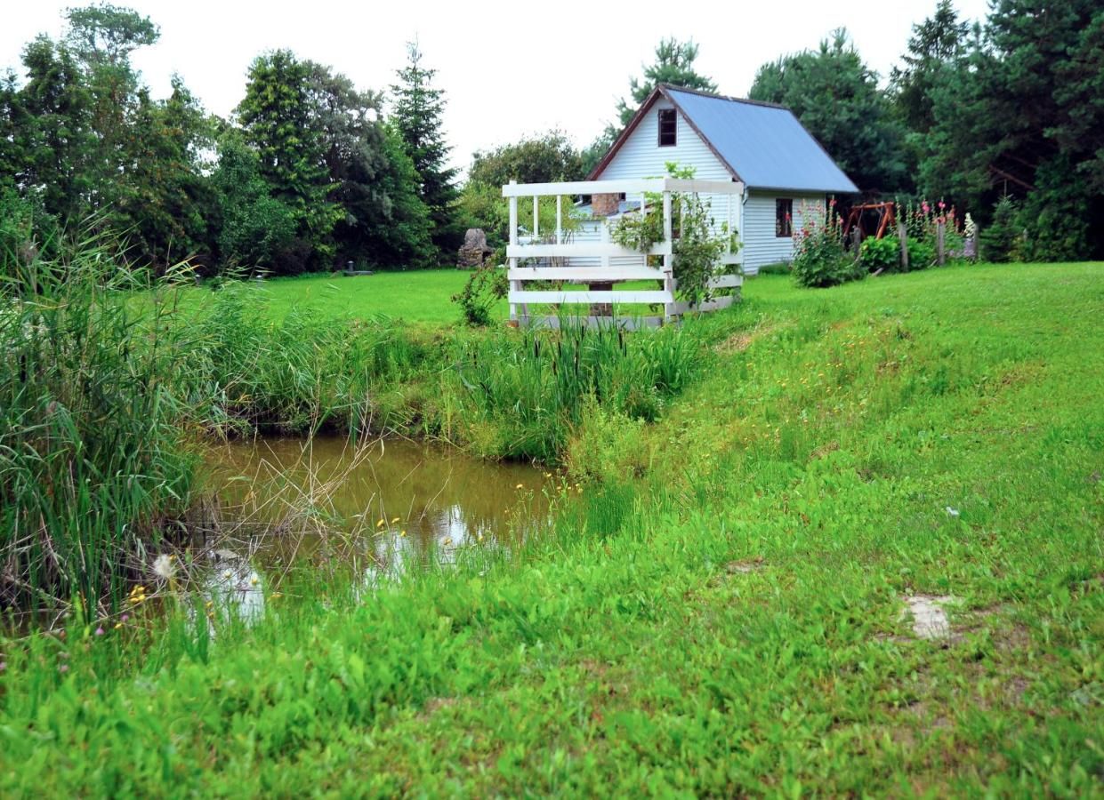 Фермерские дома Markowe Siedlisko Венгожево-21