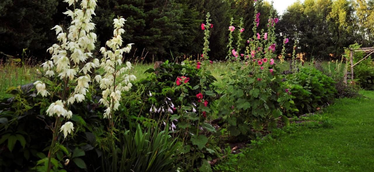 Фермерские дома Markowe Siedlisko Венгожево-5