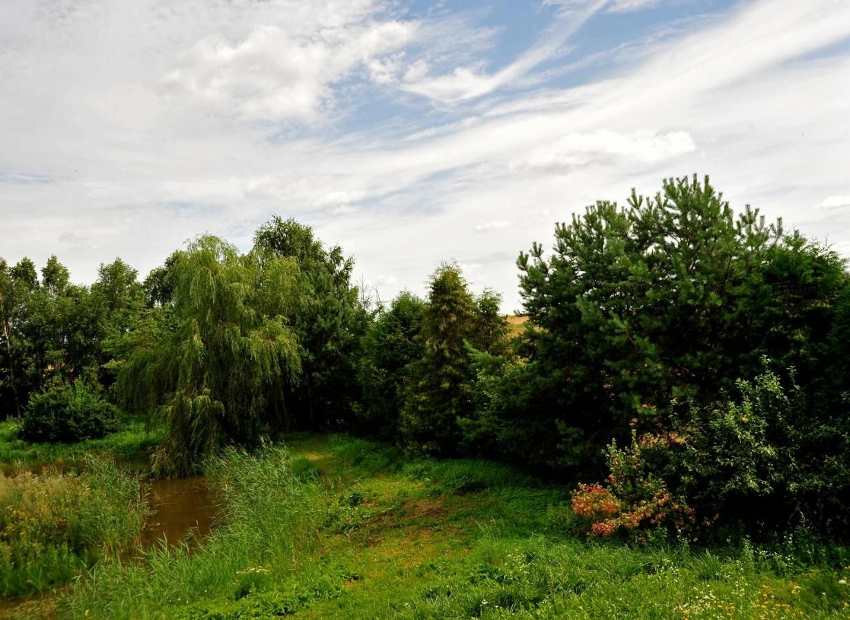 Фермерские дома Markowe Siedlisko Венгожево-27