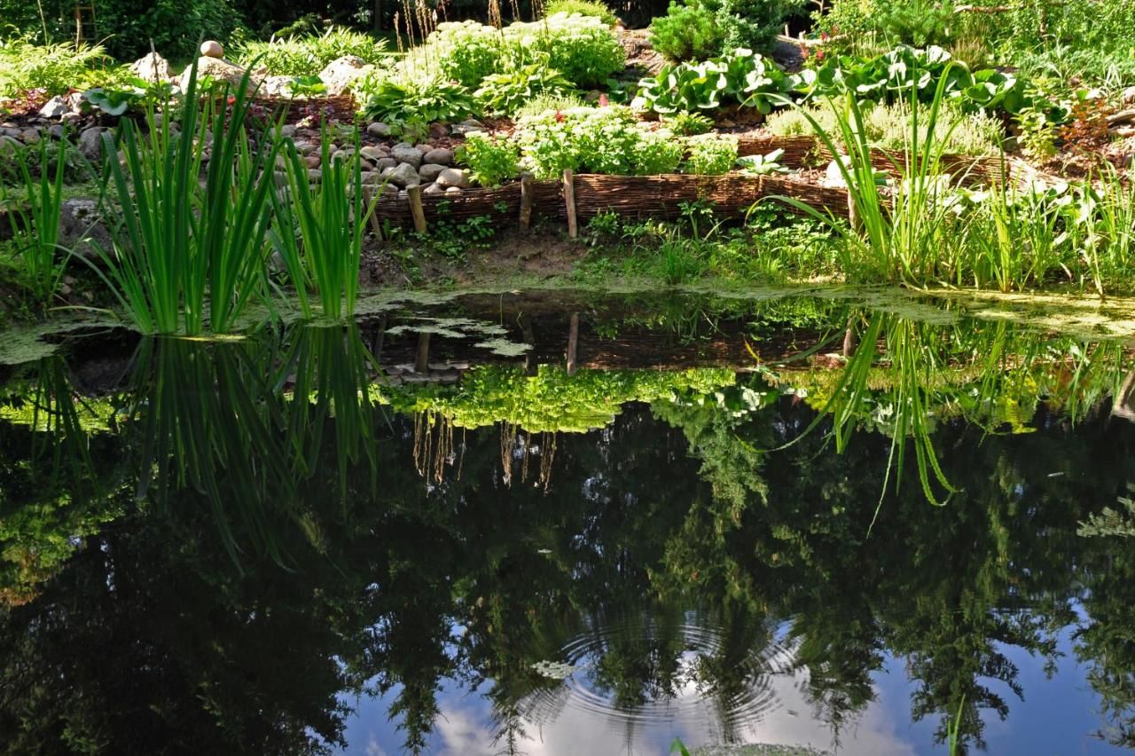 Фермерские дома Markowe Siedlisko Венгожево-7