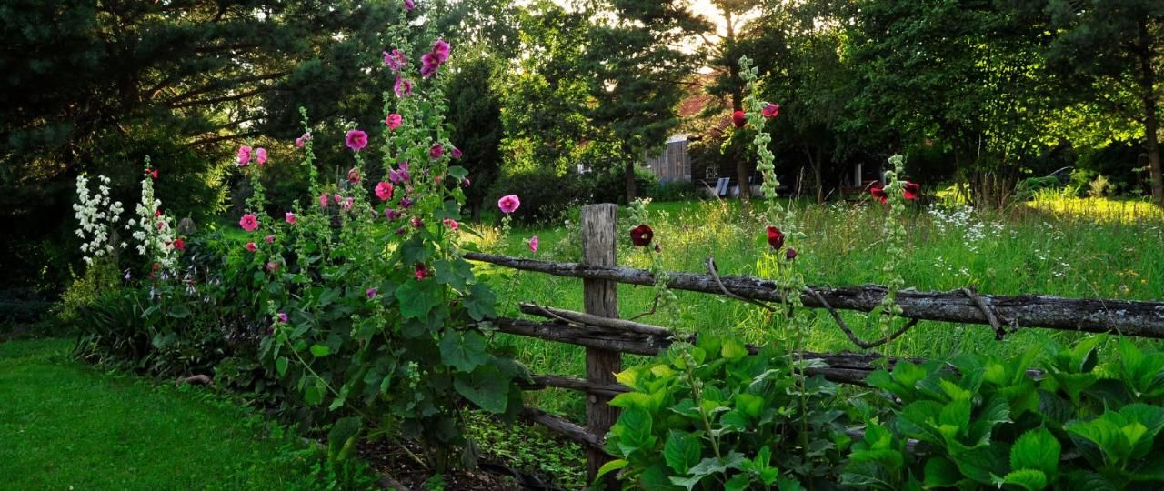 Фермерские дома Markowe Siedlisko Венгожево-8