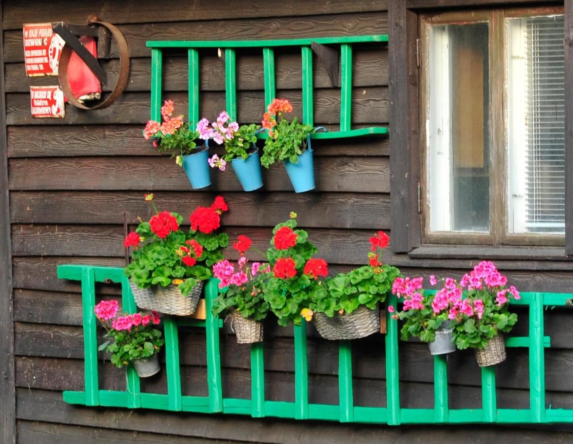 Фермерские дома Markowe Siedlisko Венгожево-9