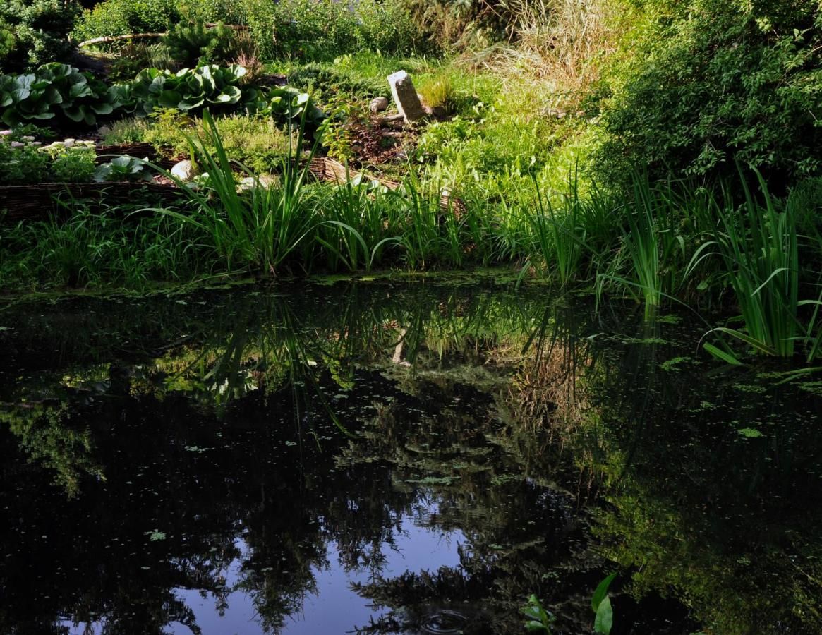 Фермерские дома Markowe Siedlisko Венгожево-10