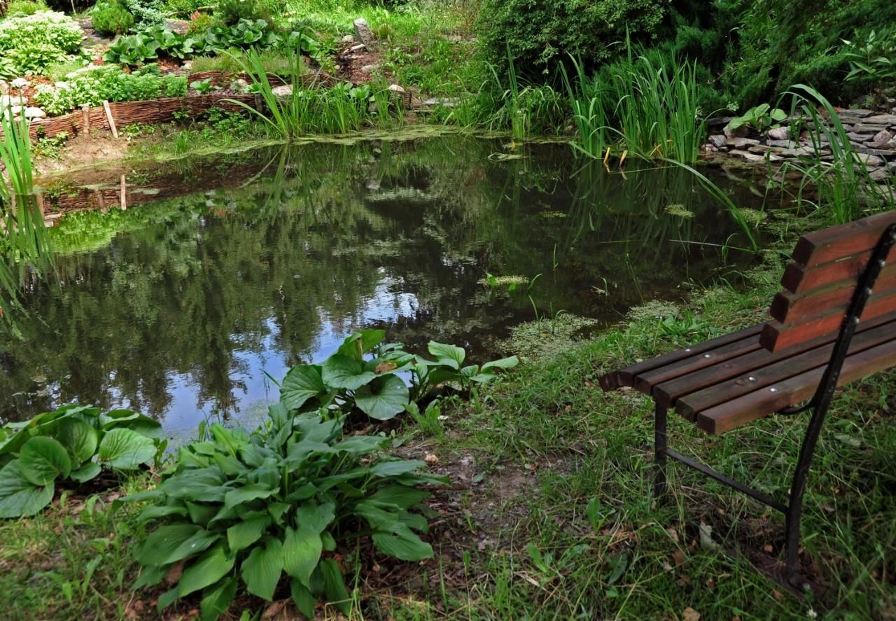 Фермерские дома Markowe Siedlisko Венгожево-12