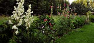 Фермерские дома Markowe Siedlisko Венгожево-1