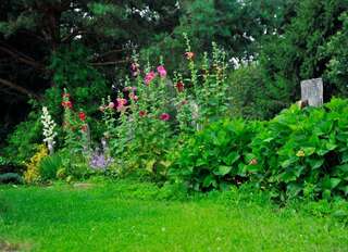 Фермерские дома Markowe Siedlisko Венгожево Семейный номер с душем-6