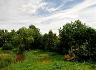 Фермерские дома Markowe Siedlisko Венгожево Семейный номер с душем-8