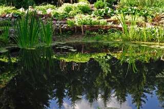 Фермерские дома Markowe Siedlisko Венгожево-3