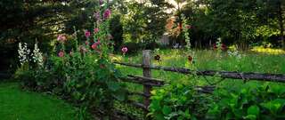 Фермерские дома Markowe Siedlisko Венгожево-4