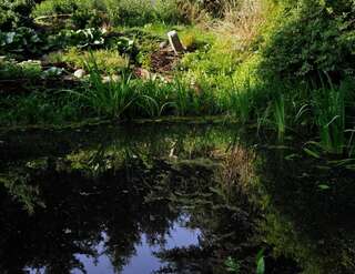 Фермерские дома Markowe Siedlisko Венгожево-6