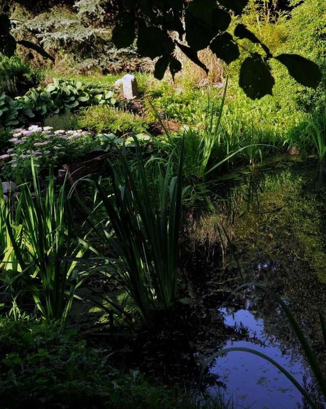 Фермерские дома Markowe Siedlisko Венгожево-12