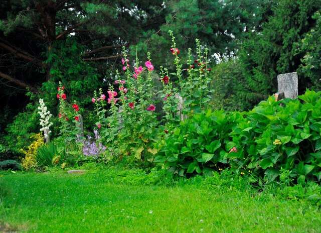 Фермерские дома Markowe Siedlisko Венгожево-24