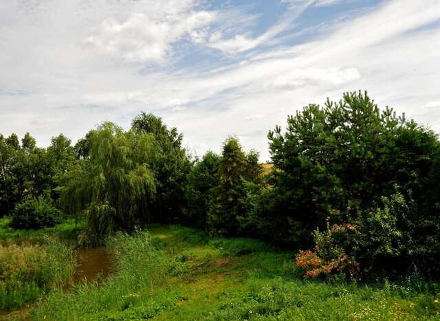 Фермерские дома Markowe Siedlisko Венгожево-26