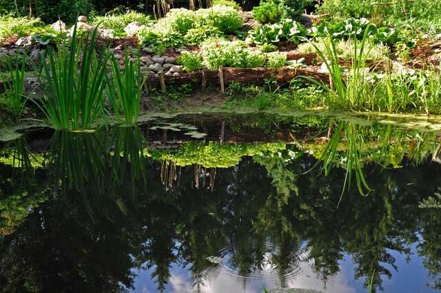 Фермерские дома Markowe Siedlisko Венгожево-6